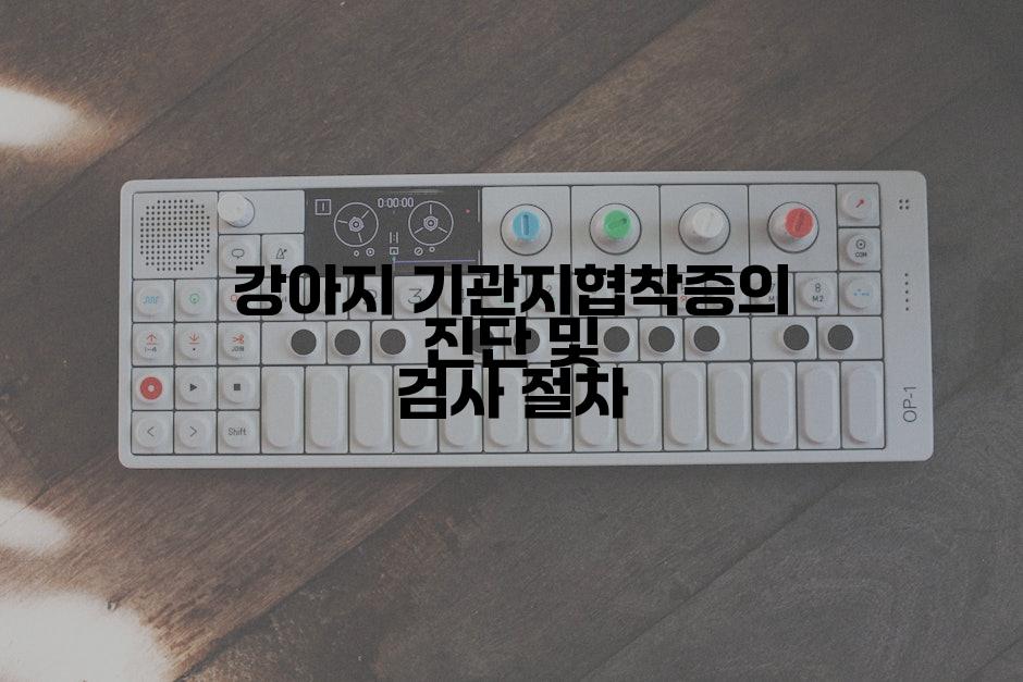 강아지 기관지협착증의 진단 및 검사 절차