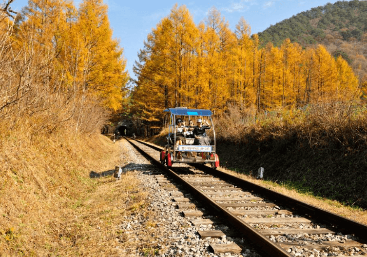 정선-레일바이크