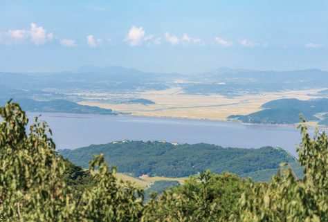 파주 평화누리길 – 전쟁의 상처 위에 핀 길, 평화를 걷다
