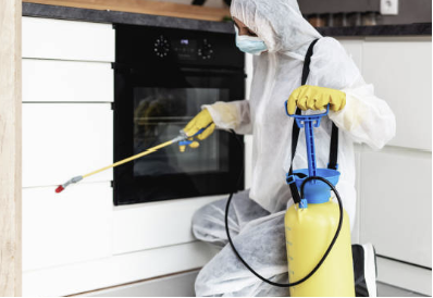 오래된 아파트 바퀴벌레 퇴치방법