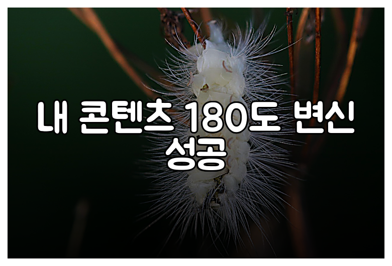 내 콘텐츠 180도 변신 성공