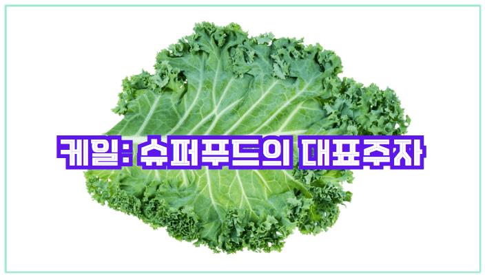 케일: 슈퍼푸드의 대표주자