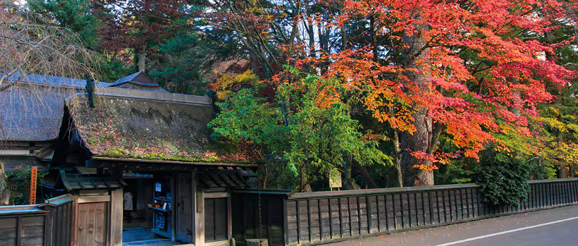 빨간 단풍이 든 가코노다테의 전경