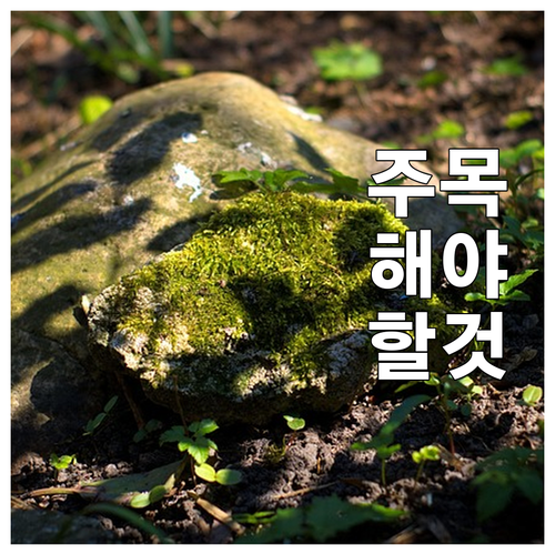 2025 구미시 다자녀 의료비 진료비..