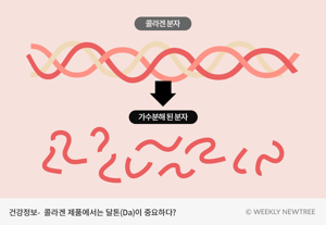 저분자콜라겐트리펩타이드