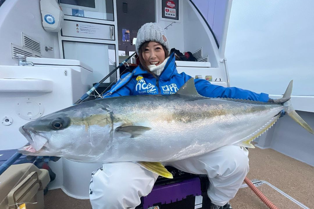 부시리 방어 구별법 | 방어 제철 | 대방어 가격 | 부시리 낚시 채비