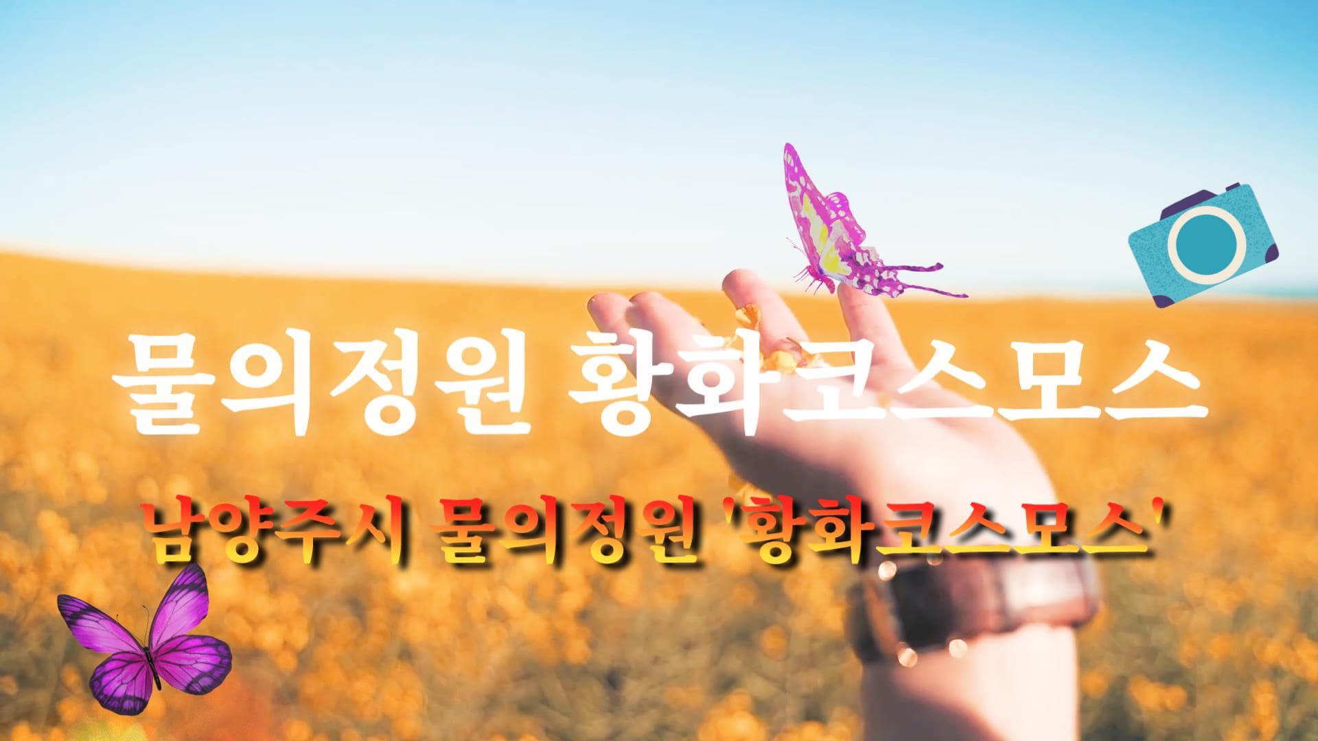 남양주 물의정원
