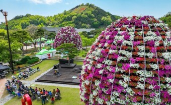 함평 나비 축제