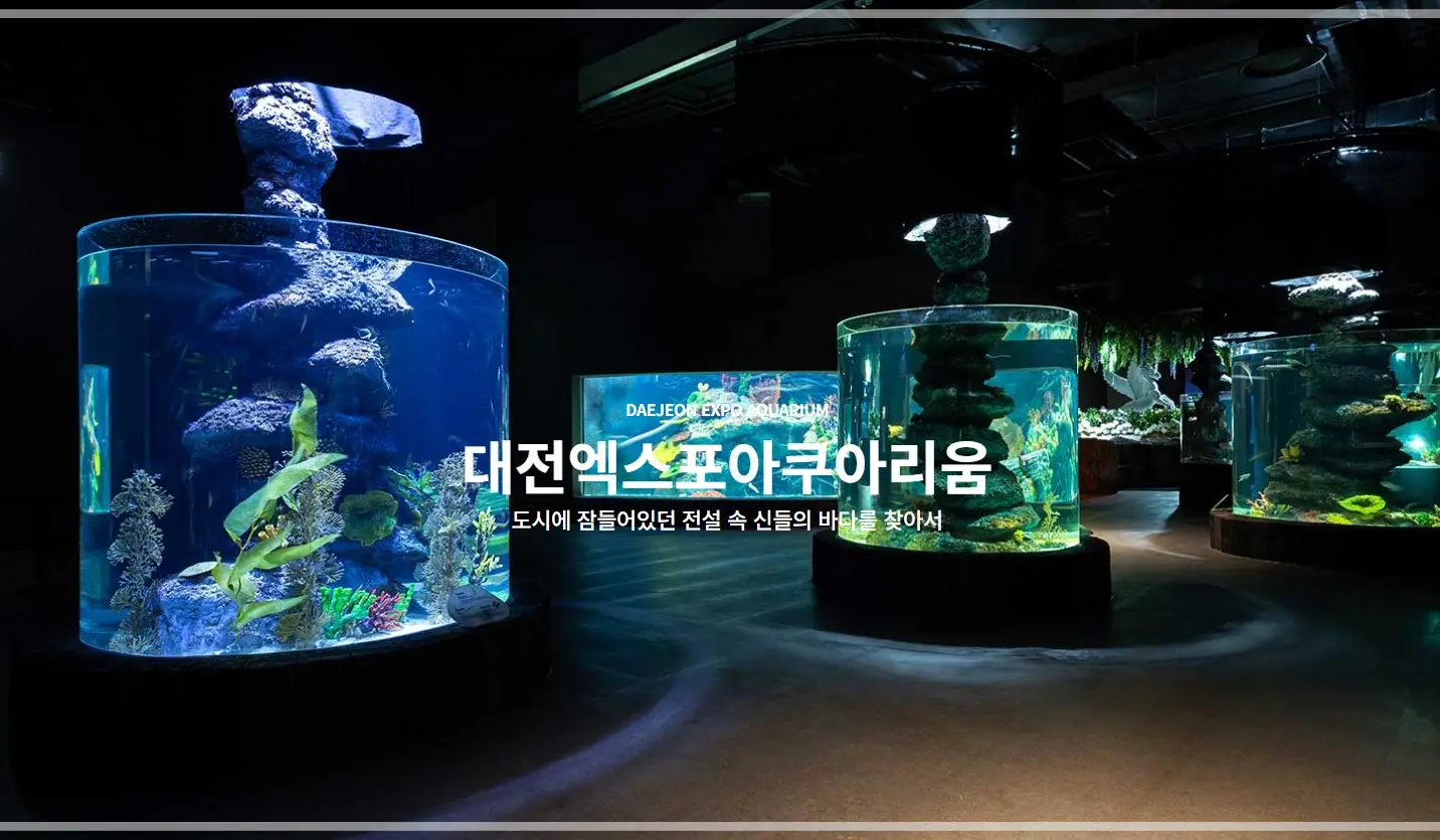 대전-신세계-아쿠아리움-입장료-할인-운영-시간