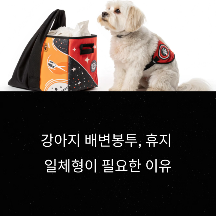 강아지 배변봉투 추천