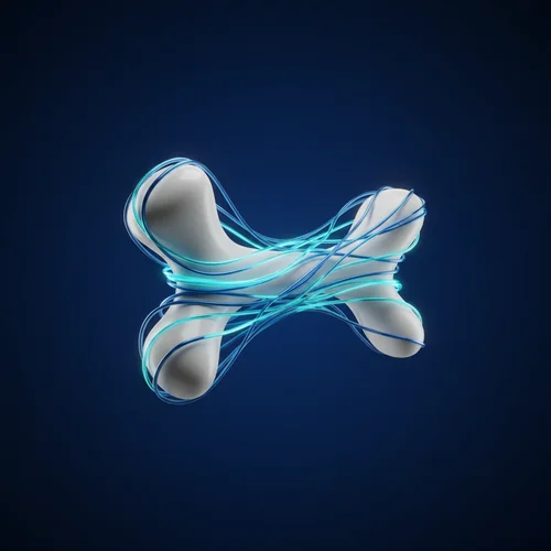 난각막이 뼈 건강에 특별한 이유