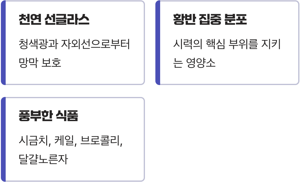 눈 건강의 파수꾼, 루테인과 지아잔틴