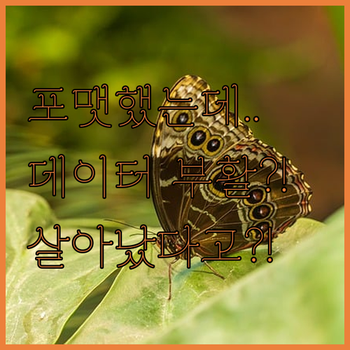 포맷한 하드디스크에서 데이터가 살아난..
