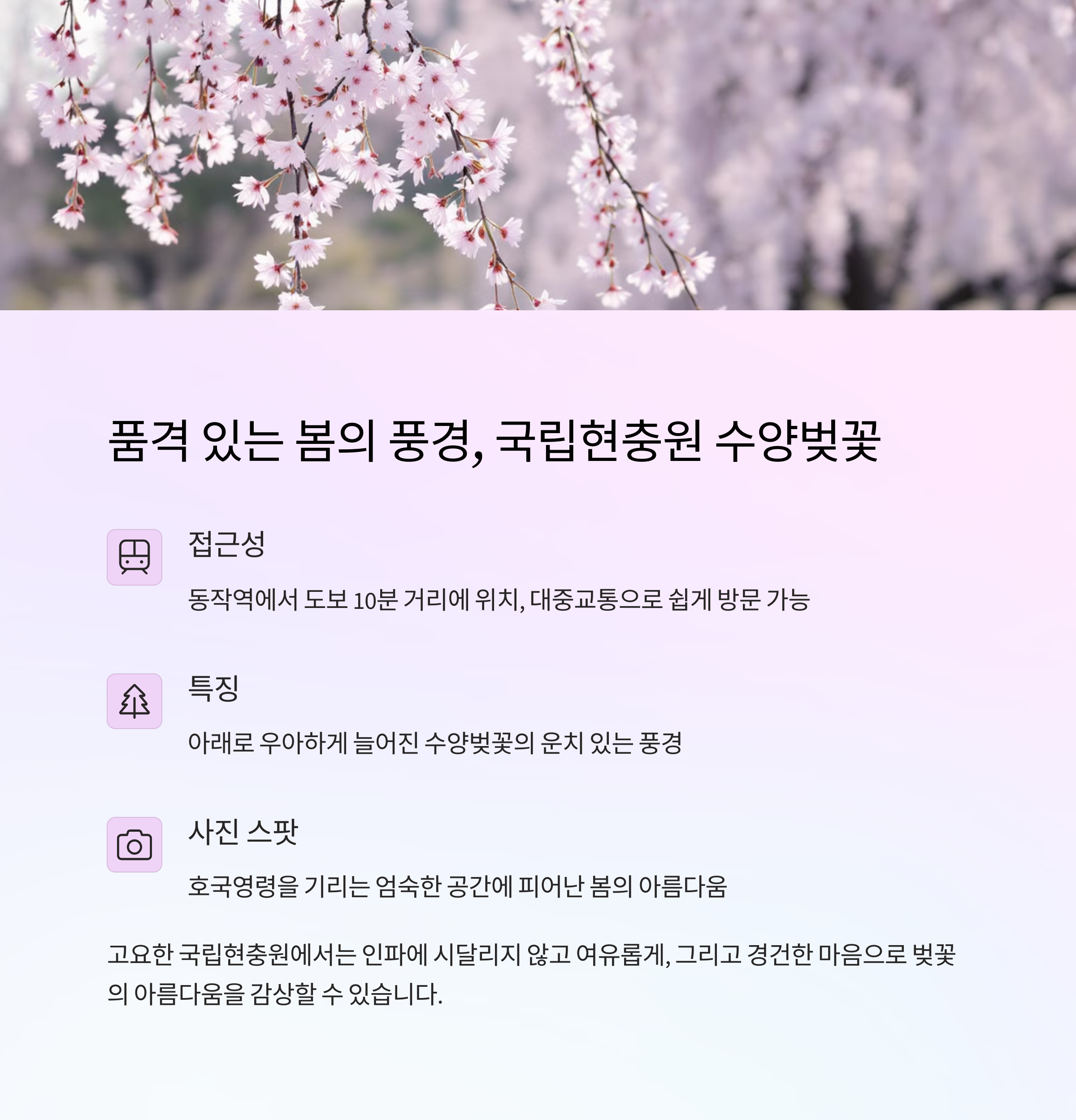 서울 수도권 숨은 벚꽃 명소 TOP 5