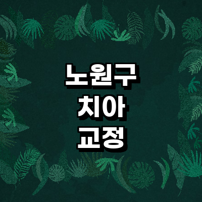 서울 노원구 교정 치과