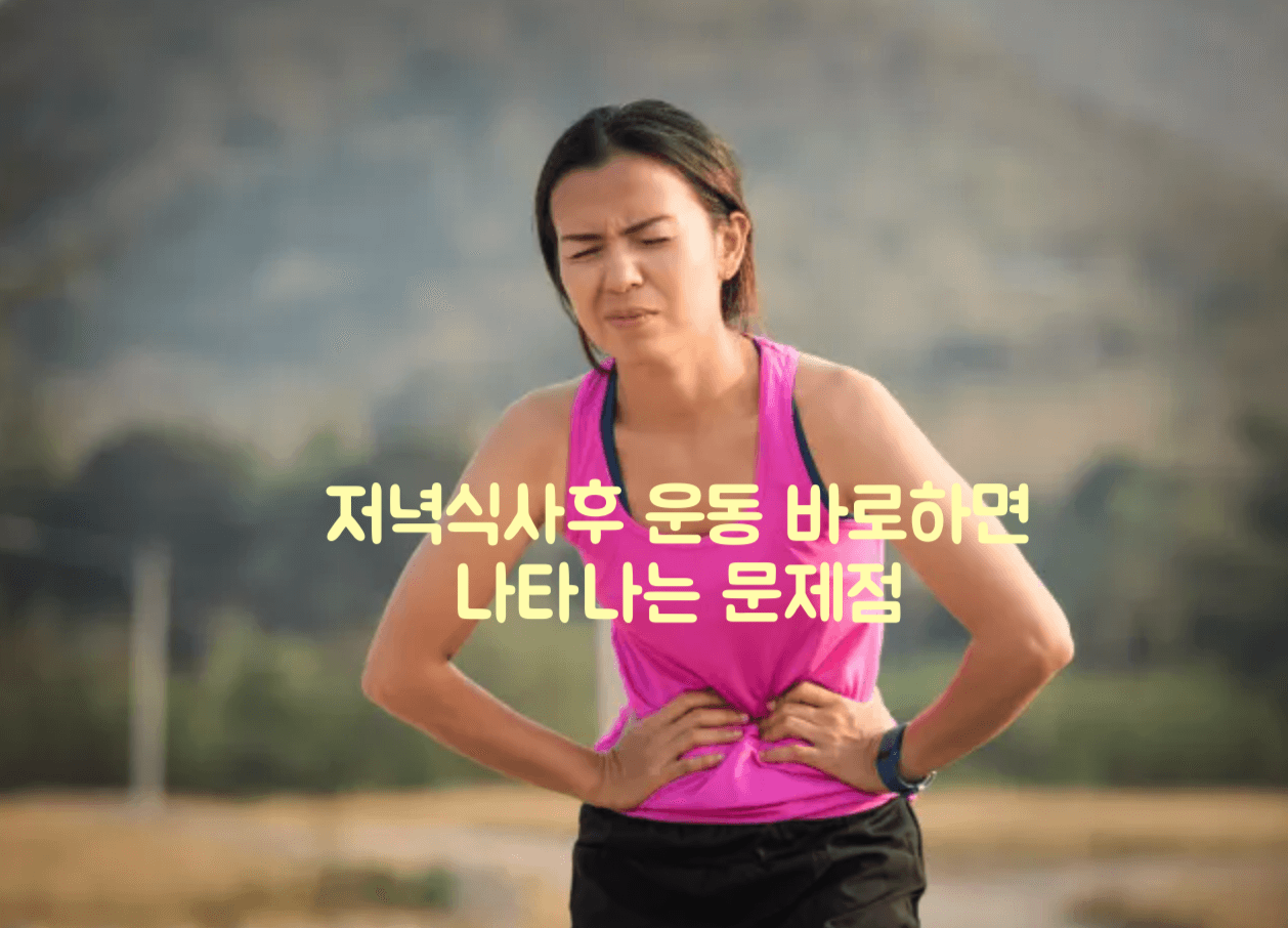 저녁 식사후 운동