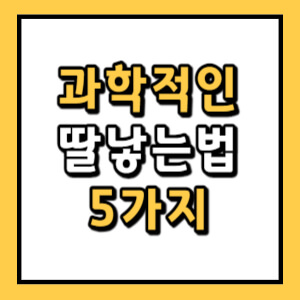 딸낳는법