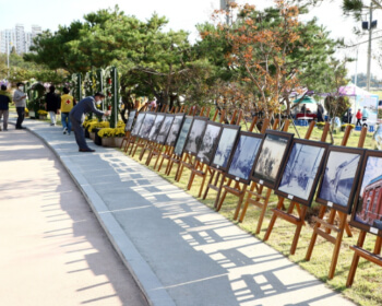 강경젓갈축제_22