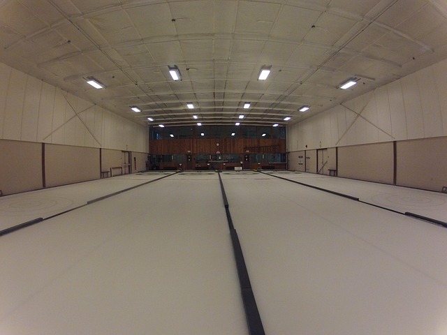 2026 동계올림픽