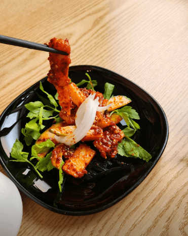 생방송 투데이 홍어삼합 마포 망원동