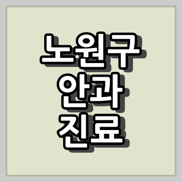 노원구 안과 진료