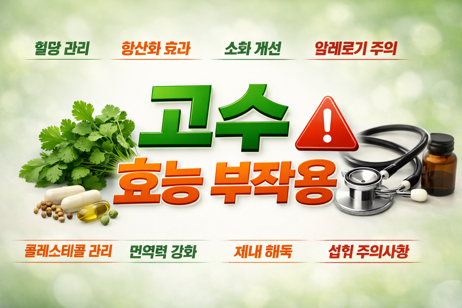 고수 효능 부작용