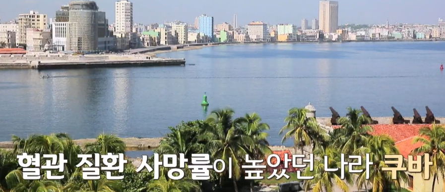 폴리코사놀