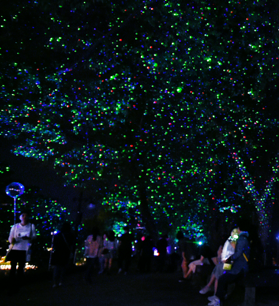 담양 대나무축제