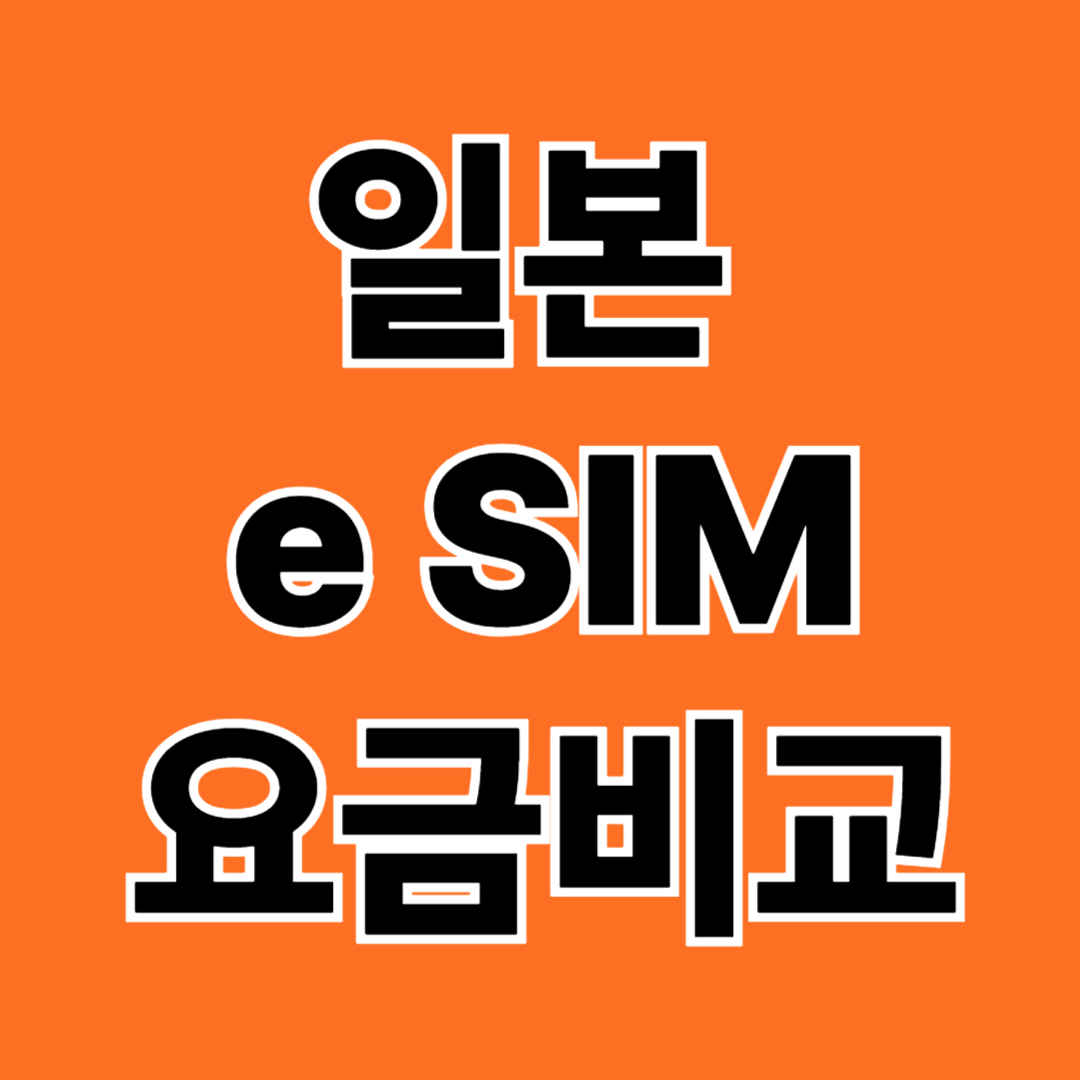 일본 e SIM 요금비교 및 브랜드 추천