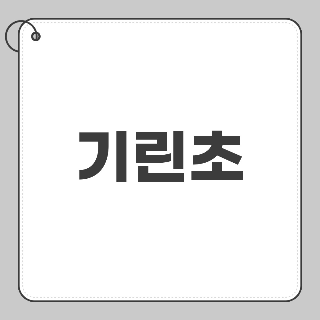 기린초