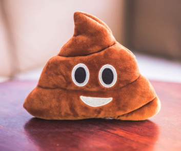 똥 인형