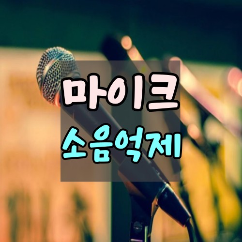 마이크-소음억제