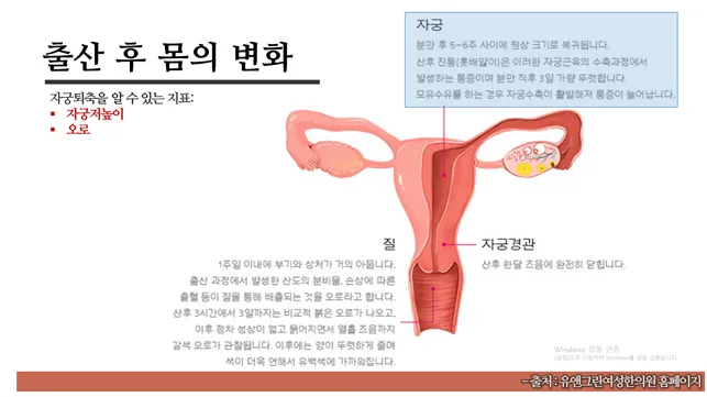 출산 후 자궁수축 기간_1