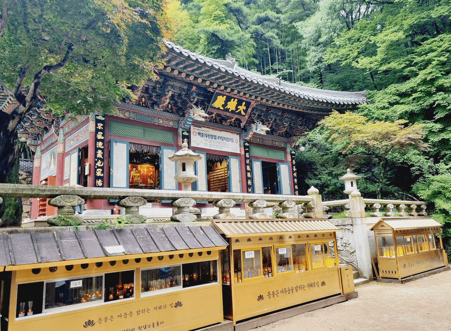 홍룡사