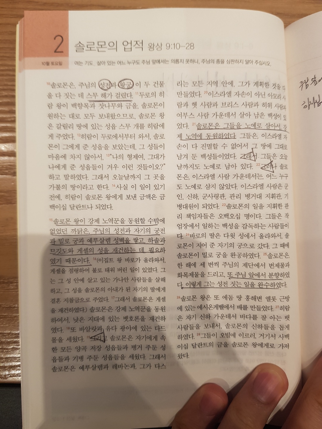 211002 시냇가에 심은 나무