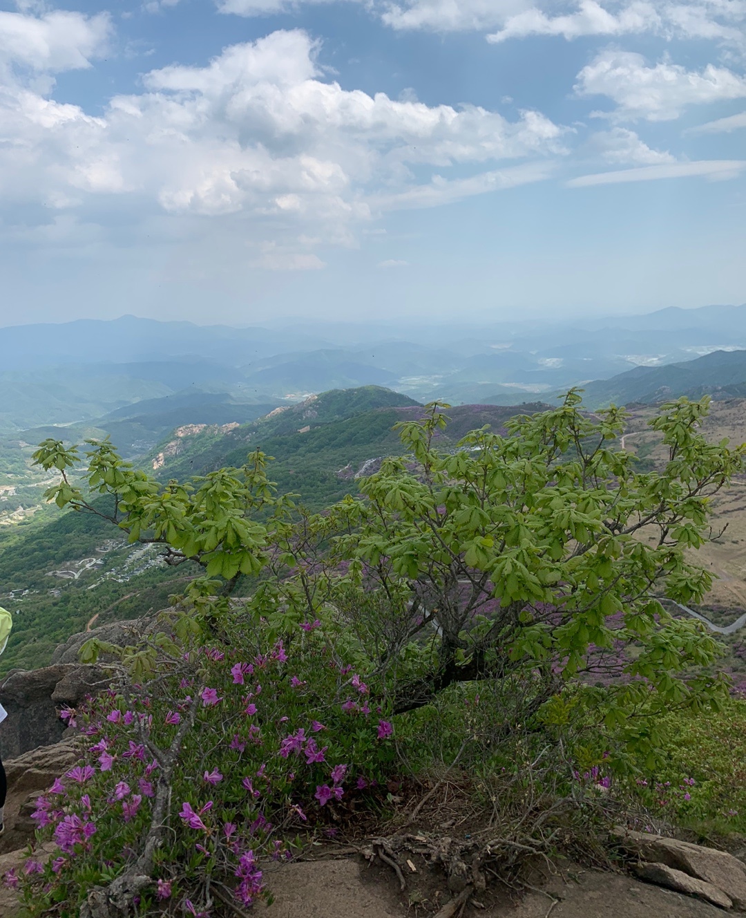 황매산 가짜 정상