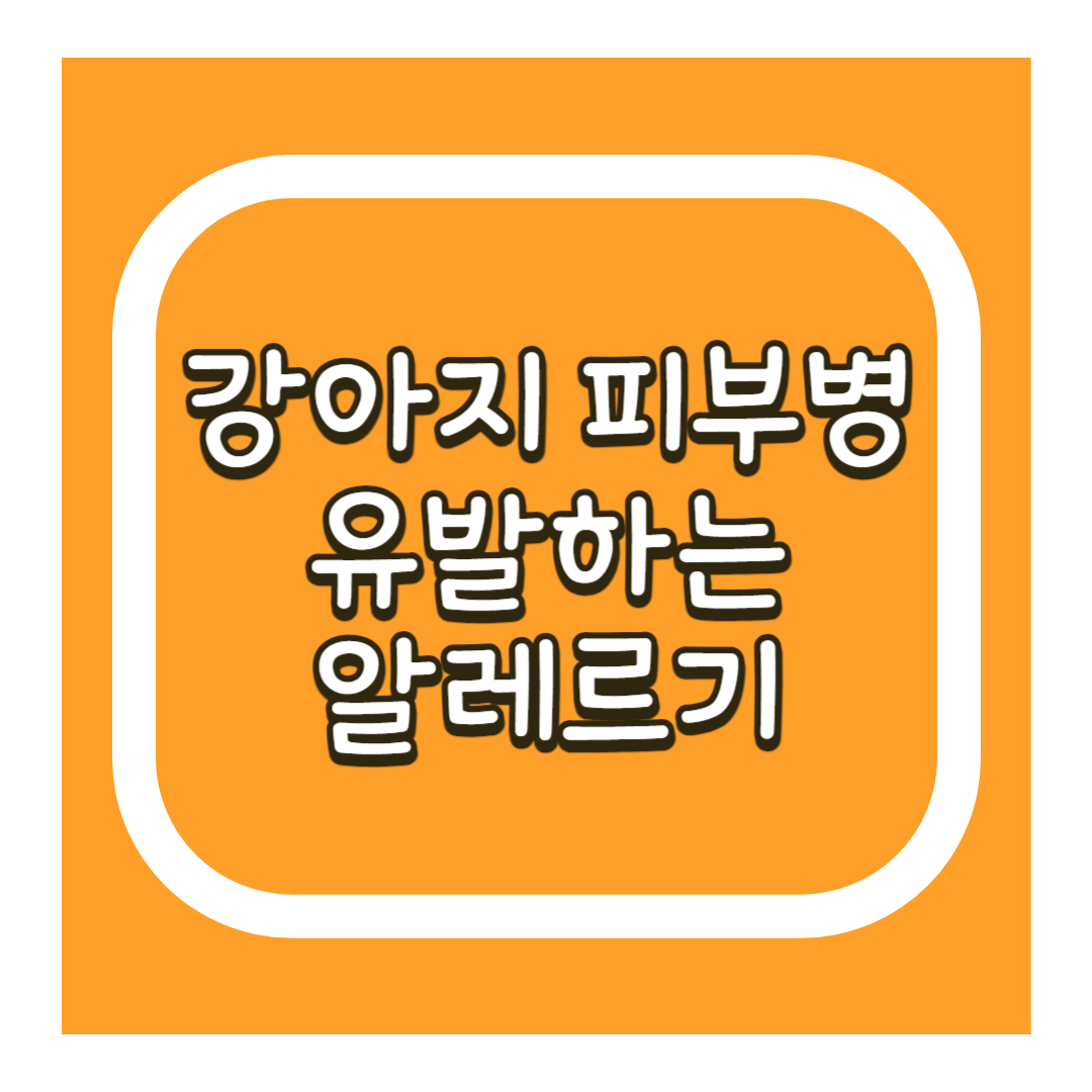 강아지 피부병 알레르기