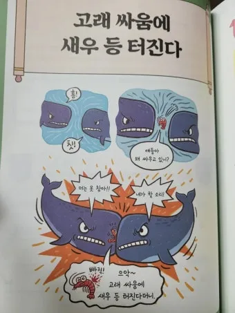고래 싸움에 새우등 터진다 뜻과 속담 영어 표현 안내집_19
