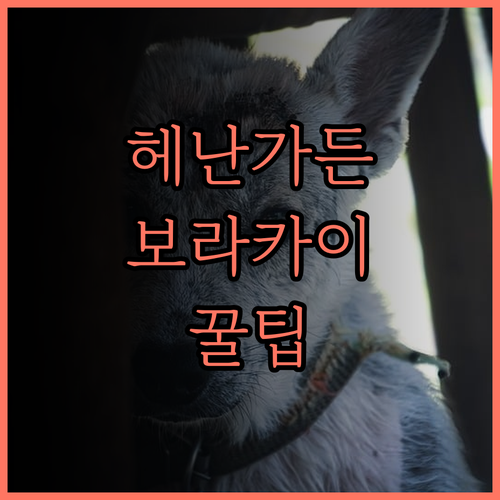 헤난 가든 리조트, 보라카이 여행의