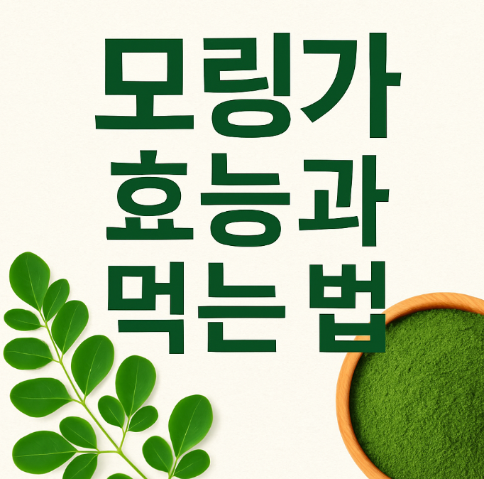 모링가 효능과 먹는법