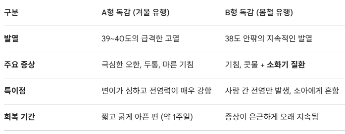 B형 독감