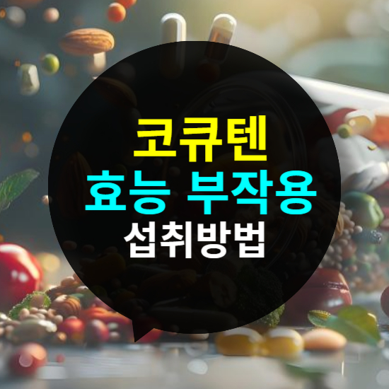 코큐텐의 효능 부작용 및 섭취방법