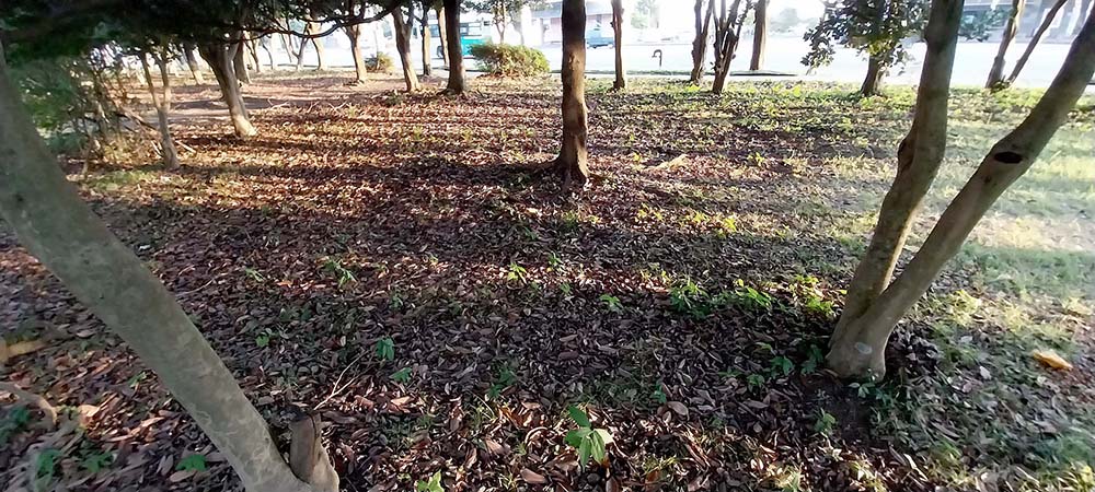 서귀포 해질녘 빛과 그림자