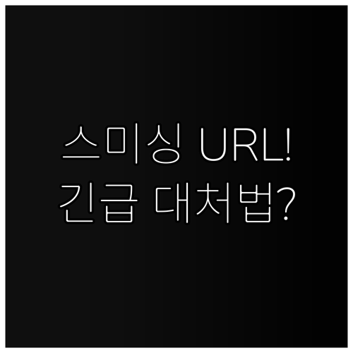 비대면 택배 수취확인 URL 사칭 스..