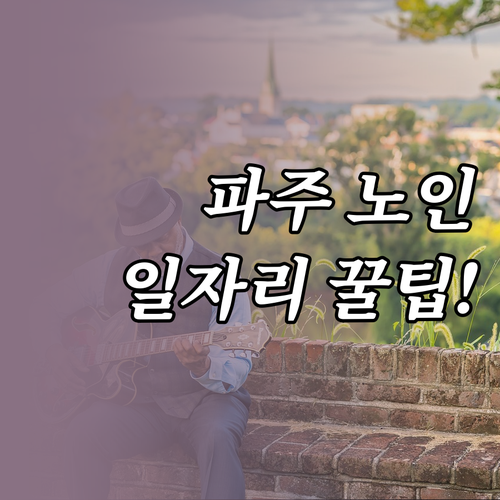 파주시 시니어클럽 노인 일자리 사업단..