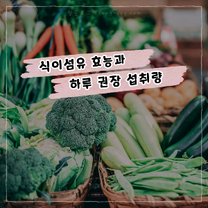 대장 건강 지키는 식이섬유 효능과 하루 권장 섭취량은?