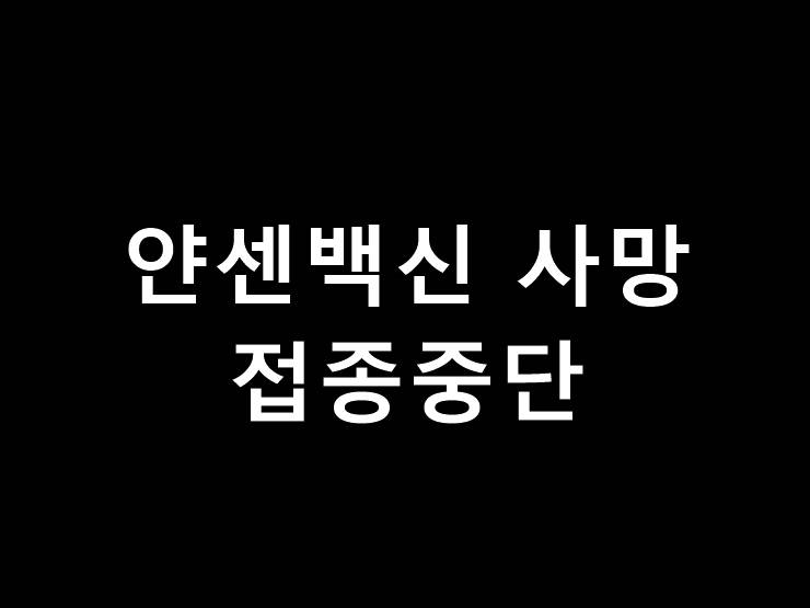 얀센백신 사망