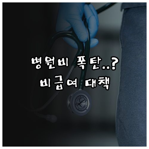 정부 비급여 관리 대책 발표와 의료 ..