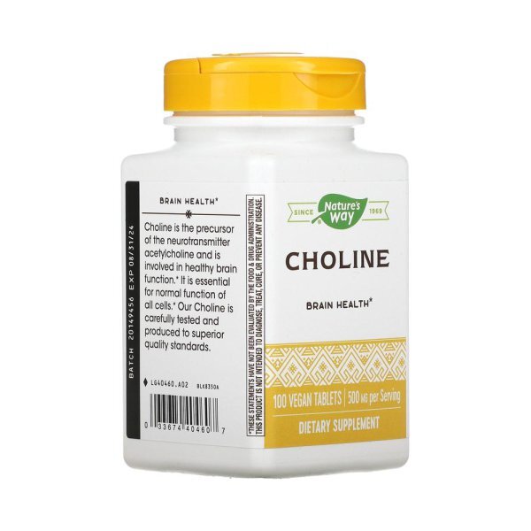 콜린(choline) 영양제 건강기능식품