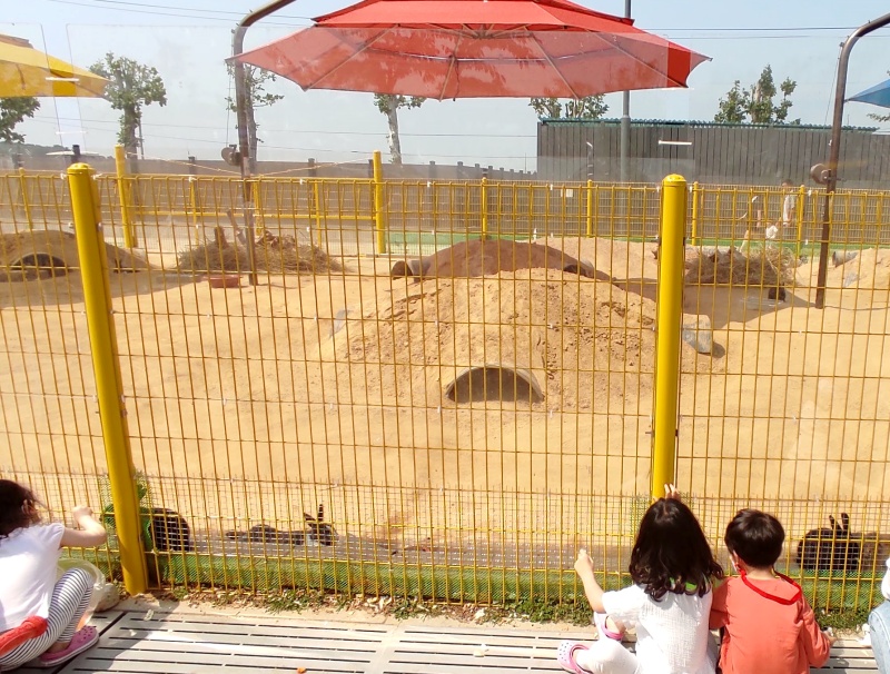 토끼집 전체 모습